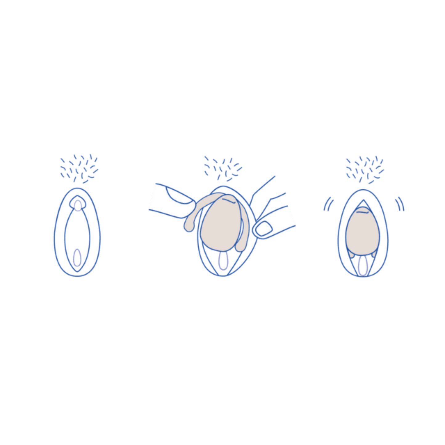 Eva